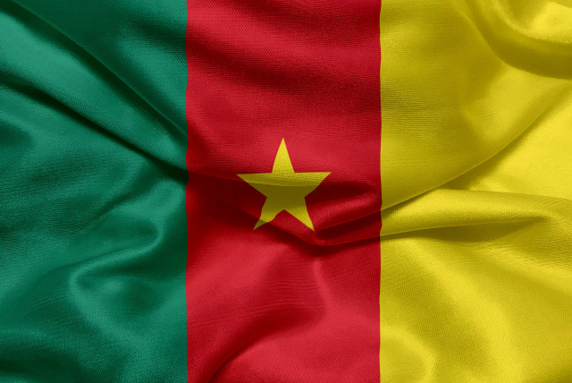 Bandera Camerun